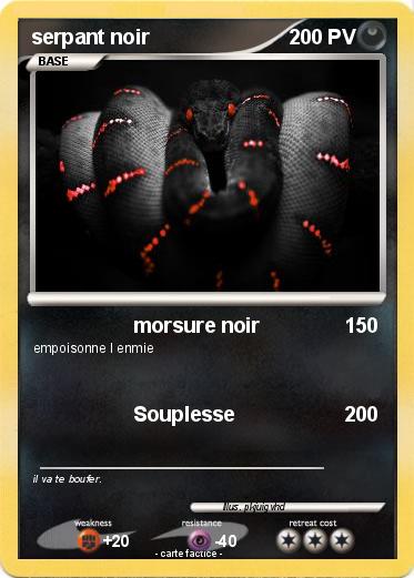 Pokemon serpant noir