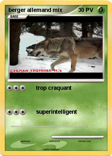 Pokemon berger allemand mix