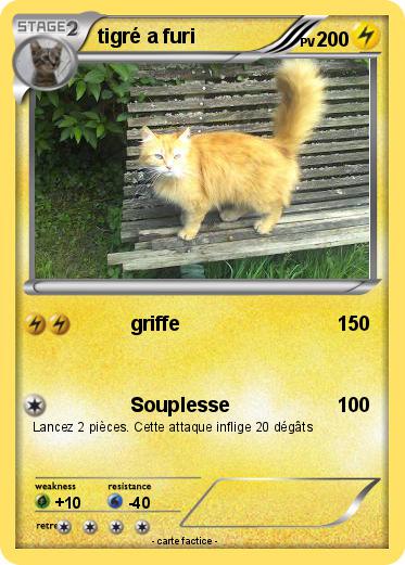 Pokemon tigré a furi