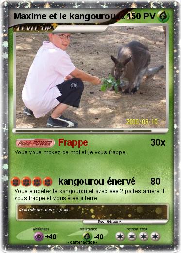 Pokemon Maxime et le kangourou