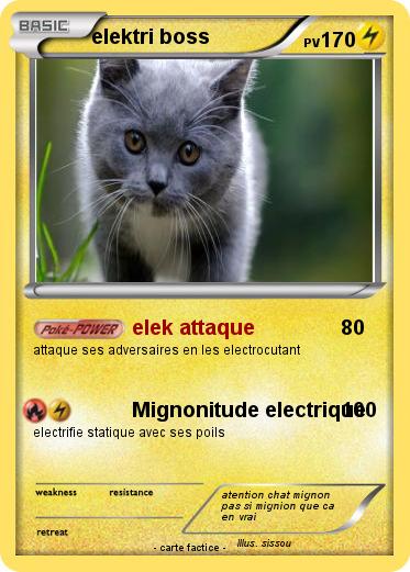 Pokemon elektri boss