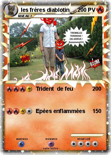 Pokemon les frères diablotin