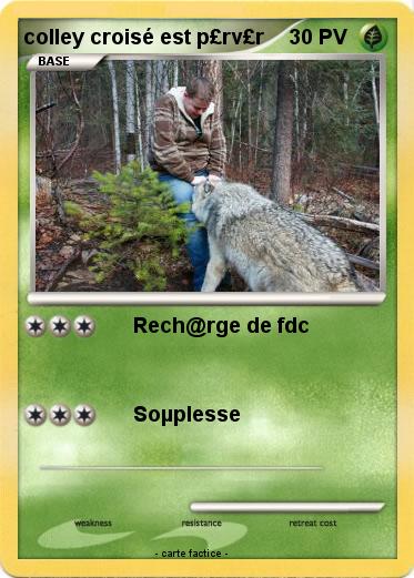 Pokemon colley croisé est p£rv£r
