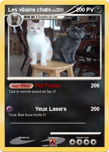 Pokemon Les vilains chats