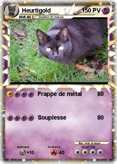 Pokemon Heurtigold