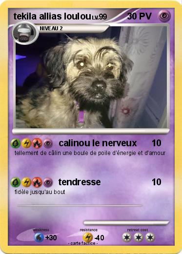 Pokemon tekila allias loulou