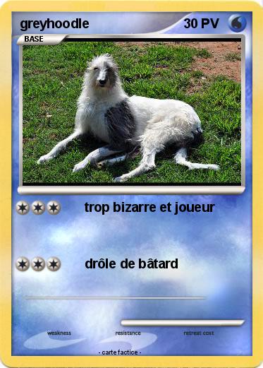 Pokemon greyhoodle