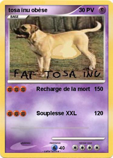 Pokemon tosa inu obèse