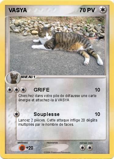 Pokemon VASYA