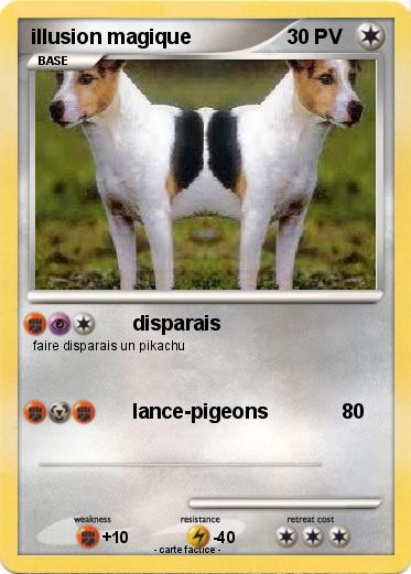 Pokemon illusion magique
