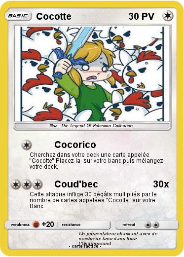 Pokemon Cocotte