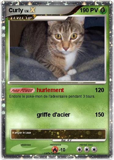 Pokemon Curly