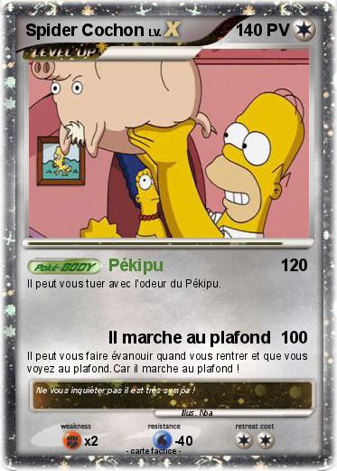 Pokemon Spider Cochon