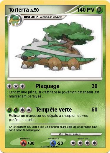 Pokemon Torterra