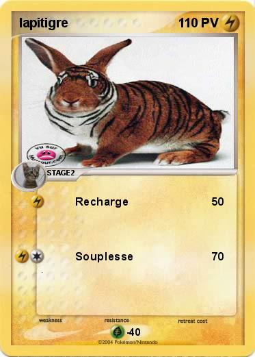 Pokemon lapitigre