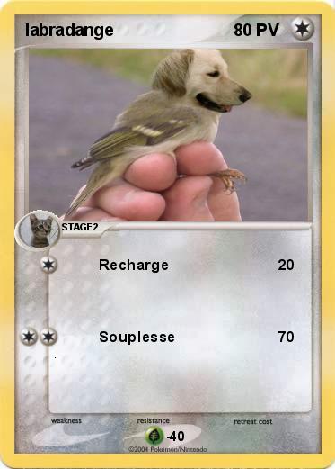 Pokemon labradange
