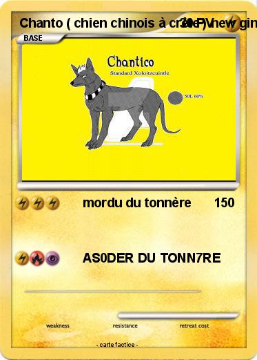 Pokemon Chanto ( chien chinois à crète ) new ginga