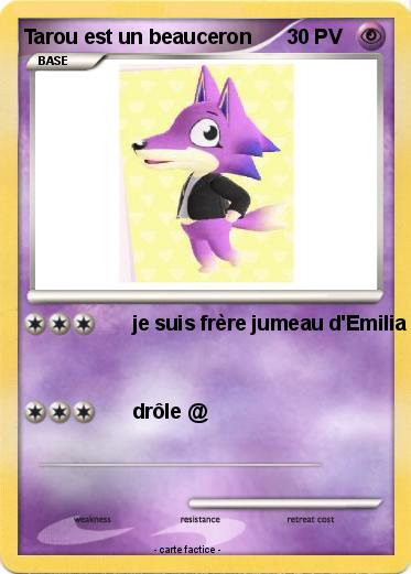 Pokemon Tarou est un beauceron