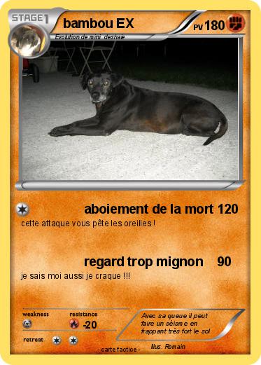 Pokemon bambou EX