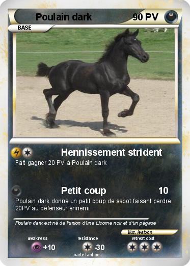 Pokemon Poulain dark