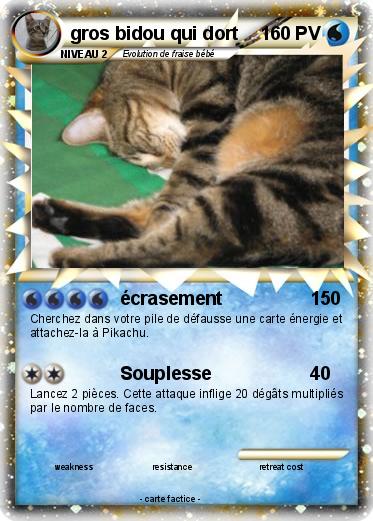 Pokemon gros bidou qui dort