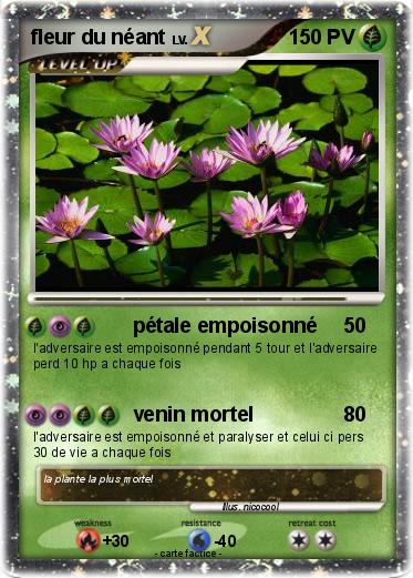 Pokemon fleur du néant