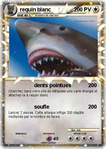 Pokemon requin blanc