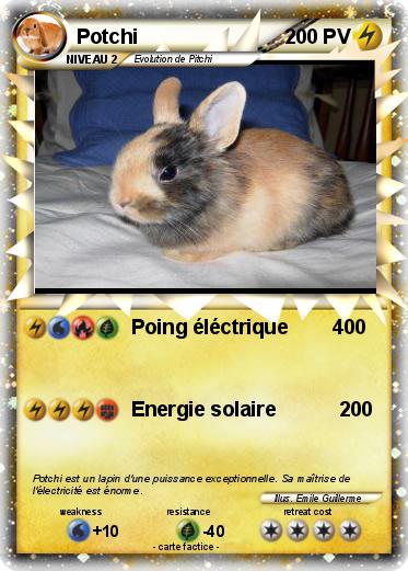 Pokemon Potchi