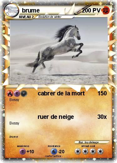 Pokemon brume