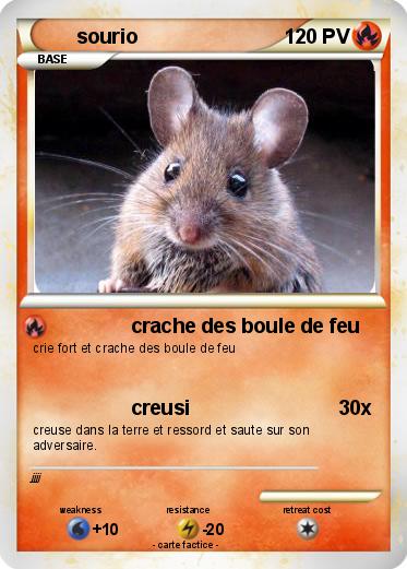 Pokemon sourio