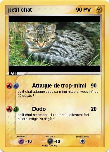 Pokemon petit chat