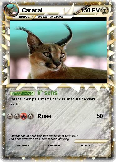 Pokemon Caracal