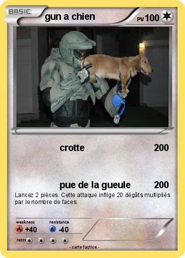 Pokemon gun a chien