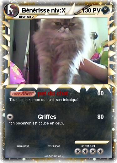 Pokemon Bénérisse niv:X
