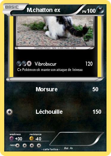 Pokemon M.chatton ex