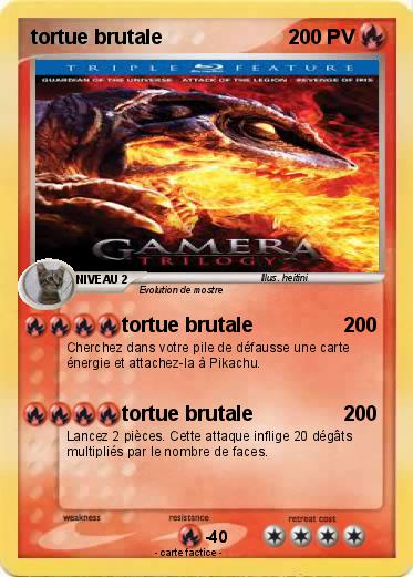Pokemon tortue brutale