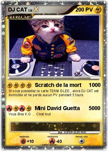 Pokemon DJ CAT