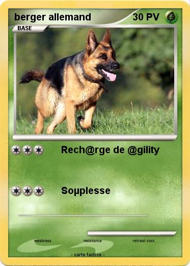 Pokemon berger allemand