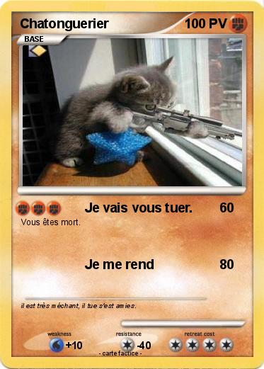 Pokemon Chatonguerier