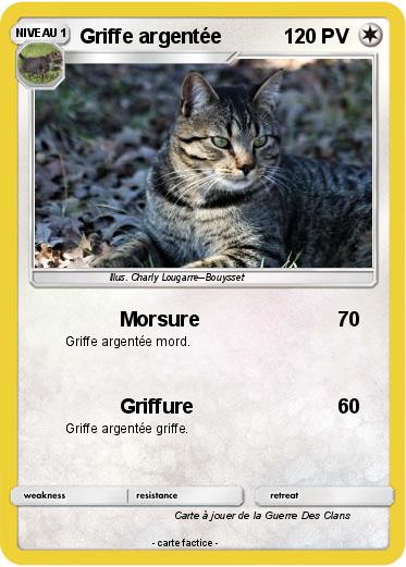 Pokemon Griffe argentée