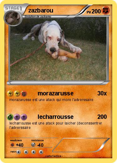 Pokemon zazbarou