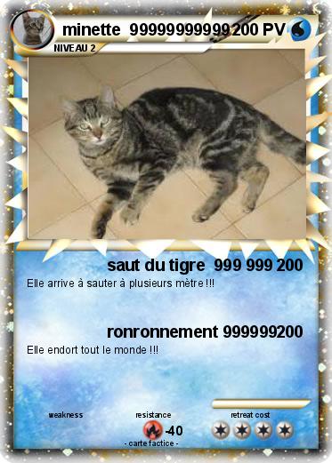 Pokemon minette  99999999999