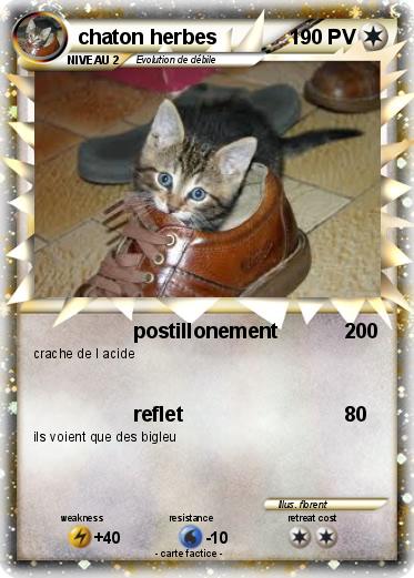Pokemon chaton herbes