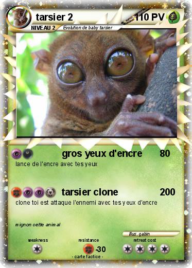 Pokemon tarsier 2