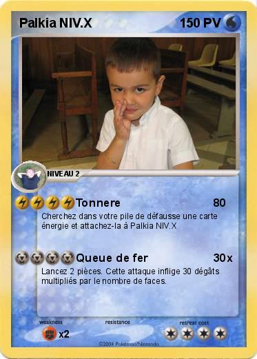 Pokemon Palkia NIV.X