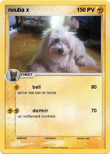 Pokemon nouba x