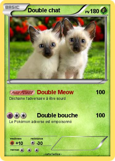 Pokemon Double chat