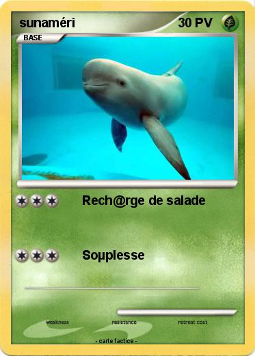 Pokemon sunaméri