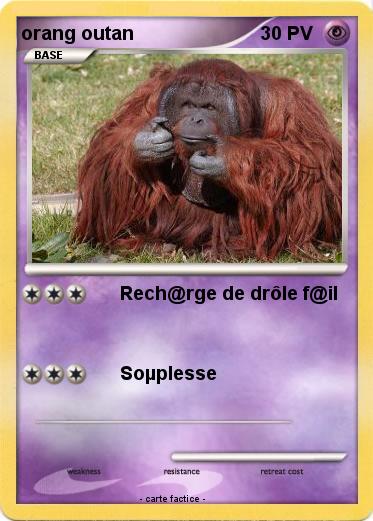 Pokemon orang outan