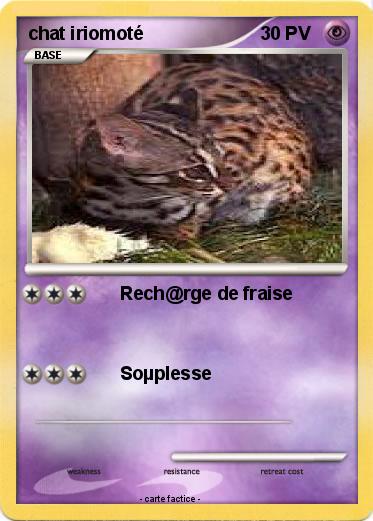 Pokemon chat iriomoté